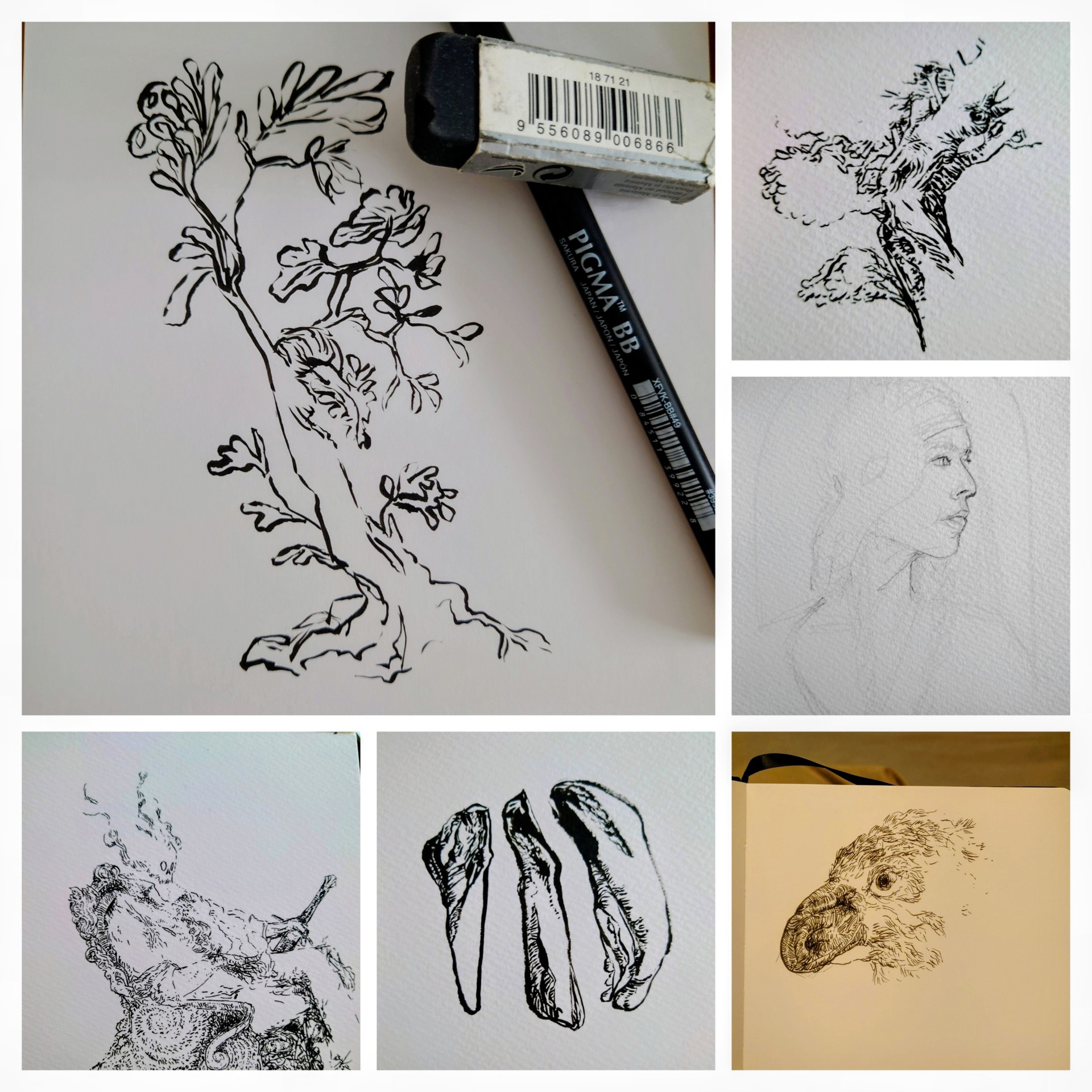 Tegnekurs på Krigsseilerhuset torsdag 19. februar