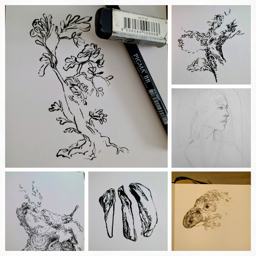 Tegnekurs på Krigsseilerhuset torsdag 19. februar